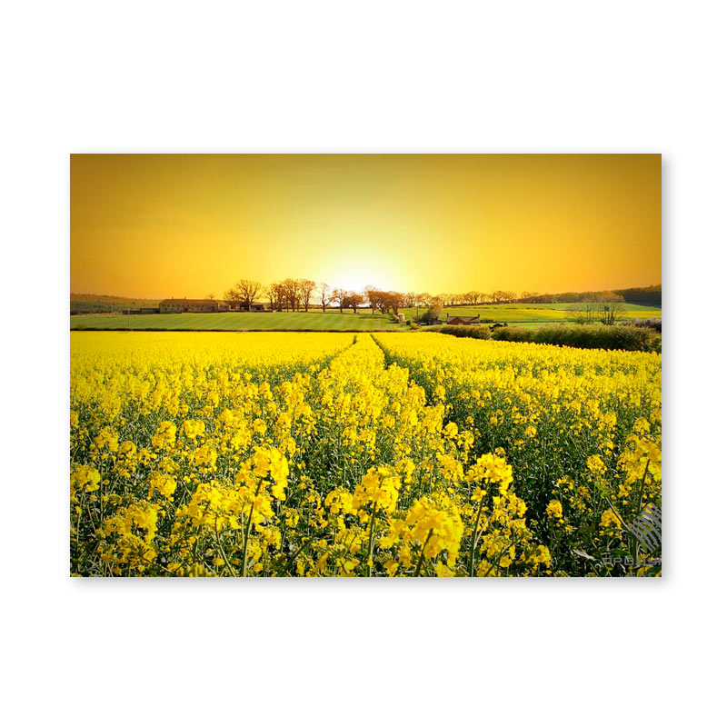 Картина обогреватель «Цветочная поляна на закате» 60X80 см. (0.5 кВт.)