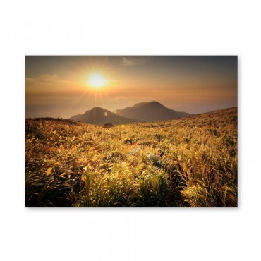 Картина обогреватель...