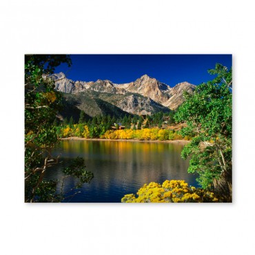 Картина обогреватель...