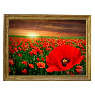 Картина обогреватель...