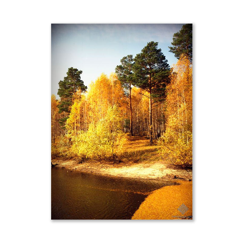Картина обогреватель «Осенний лес 2» 60X80 см. (0.5 кВт.)