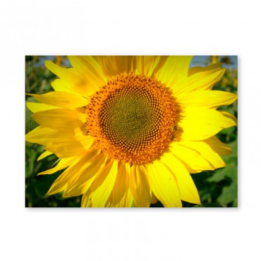 Картина обогреватель...