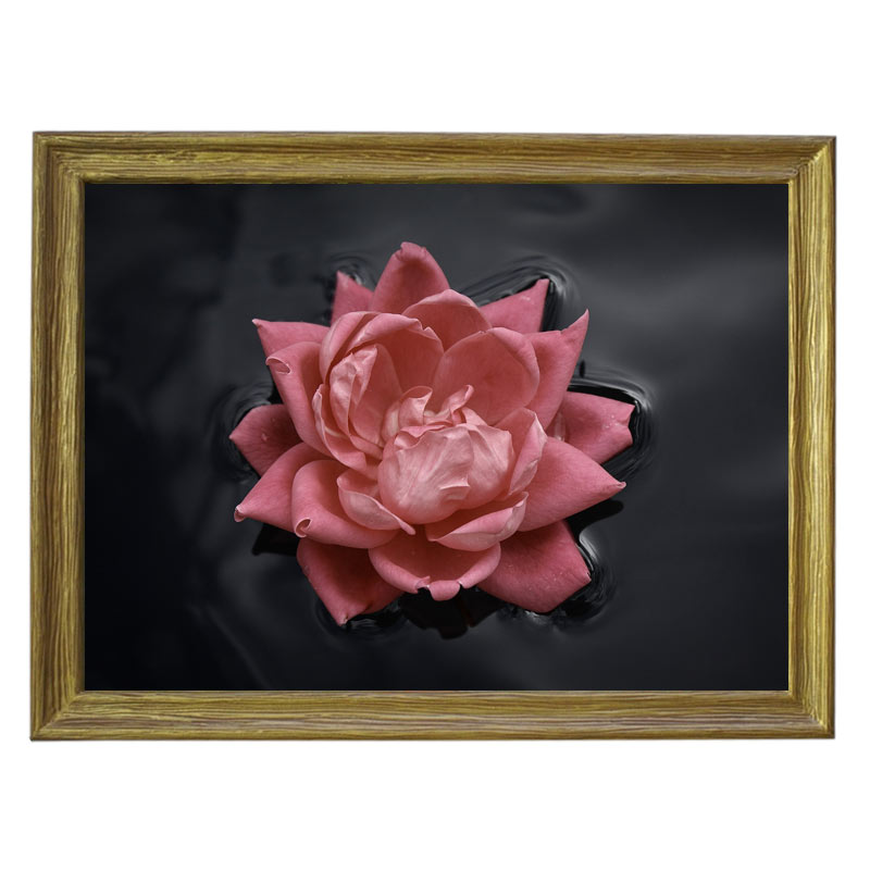 Картина обогреватель «Роза на воде» в рамке ПВХ 70X90 см. (0.5 кВт.)