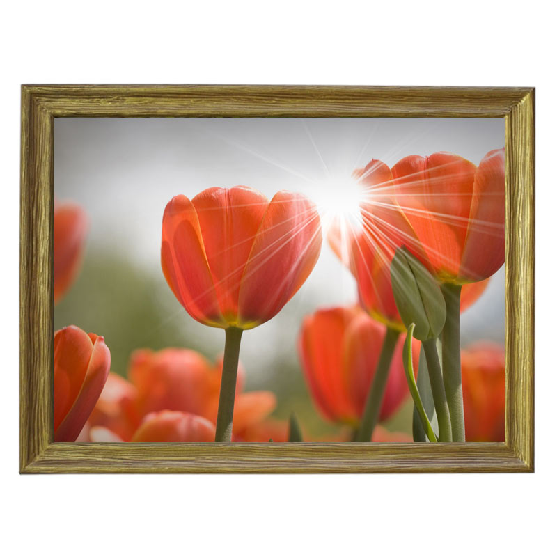 Картина обогреватель «Тюльпаны» в рамке ПВХ 70X90 см. (0.5 кВт.)
