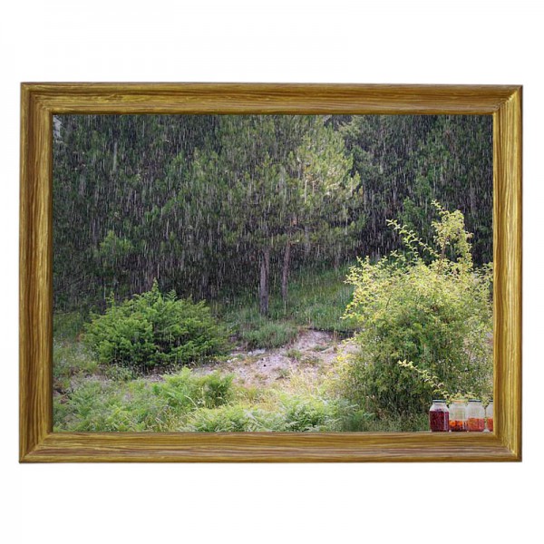 Картина обогреватель «Варенье под дождем» в рамке ПВХ 70X90 см. (0.5 кВт.)