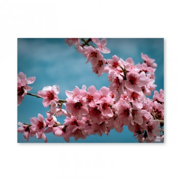 Картина обогреватель...