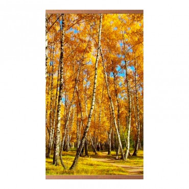 Бархатное тепло «Бер...